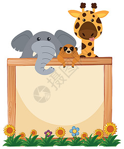 大象和长颈鹿在背景中的边框模板图片