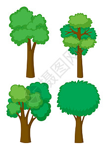 树的四种形状图片