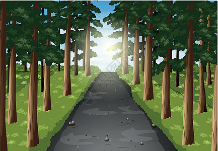 林中道路背景场景远足绿色树木夹子绘画公园环境森林艺术丛林图片