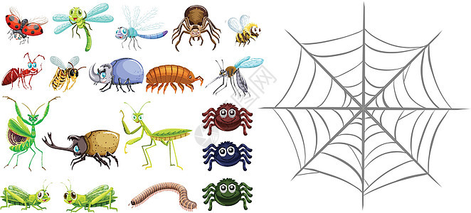 不同类型的错误和 spiderwe图片