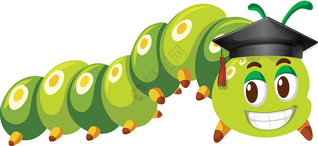 绿色毛毛虫穿着毕业帽绘画昆虫情调漏洞艺术毛虫小路哺乳动物剪裁野生动物图片