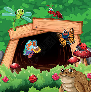 隧道前的不同类型的昆虫图片
