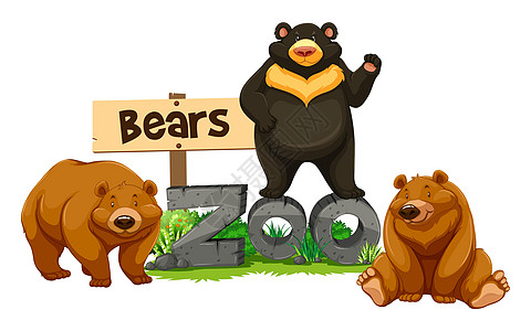 zo中的三只熊高清图片