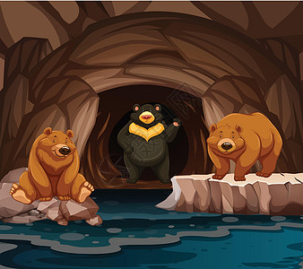 住在洞里的熊动物插图荒野石头黑色食肉绘画哺乳动物棕色毛皮图片