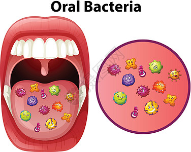 显示口腔细菌的图像图片
