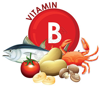 一套维生素 B Foo夹子卫生插图艺术营养医疗保健药品食物绘画图片
