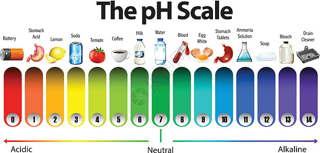 白色背景上的 pH 刻度测试图表中性碱性解决方案绘画科学测量插图平衡背景图片
