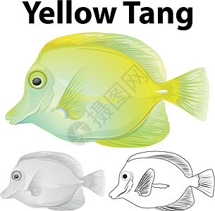 黄拖网鱼的面条字符背景图片