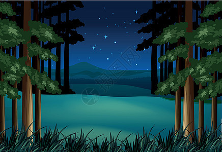 夜晚的森林场景与星星图片