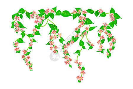 树枝攀登粉红色的玫瑰花 叶子和花蕾在白色背景下被隔离图片