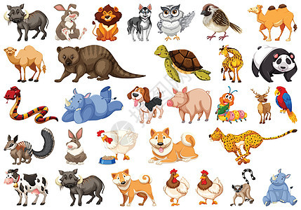 不同的孤立动物惠特绘画野生动物站立生物小路卡通片面具跑步哺乳动物艺术图片
