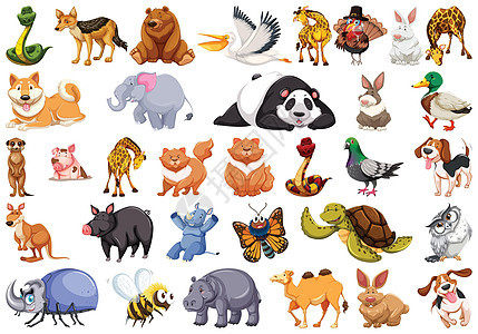 不同的孤立动物惠特绘画跑步站立面具收藏小路宠物快乐艺术团体图片