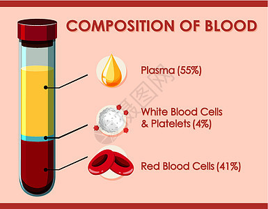 显示血液成分的图表白血夹子生活意义药品学习艺术生物学细胞插图背景图片