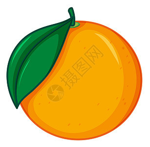 白色背景上的一个橙子图片