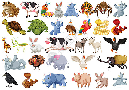 动物特征集火鸡犀牛奶牛鳄鱼鸭子山羊艺术夹子插图剪贴图片
