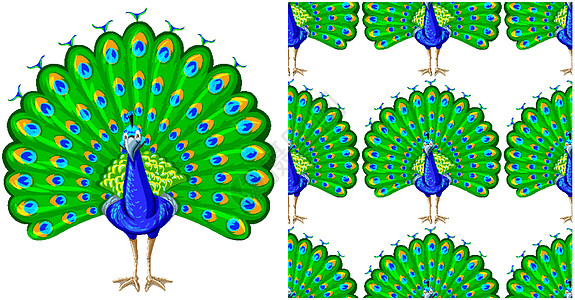 无缝设计模式隔离在惠特羽毛墙纸荒野艺术琴鸟卡通片团体包装孔雀插图图片