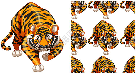 无缝设计模式隔离在惠特动物群猫科老虎动物掠夺性捕食者卡通片墙纸野生动物插图图片