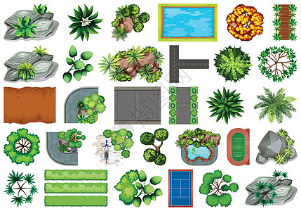 户外自然主题物品和植物元素的收集树叶环境卡通片白色插图剪裁面具岩石绿色公园图片