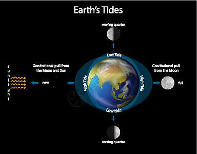 用地球和哞哞显示地球潮汐的图表行星星星宇宙学海报绘画教育插图天空星系环境图片