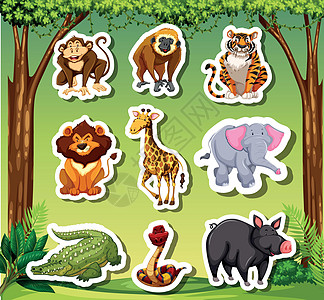 许多动物粘在丛林背景中图片