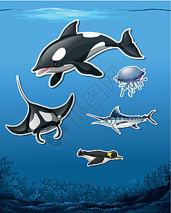 海洋背景上的一组海洋动物贴纸图片