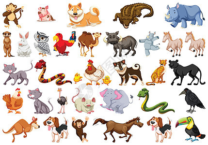 不同的孤立动物惠特站立绘画小路宠物快乐跑步哺乳动物收集团体艺术图片