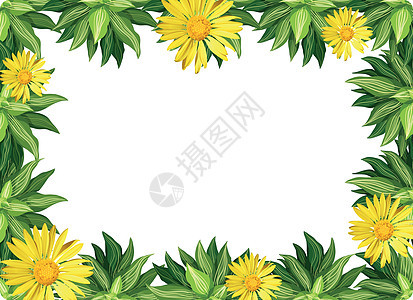 黄色雏菊花边框白色边界花朵绘画植物艺术墙纸邀请函卡片横幅背景图片