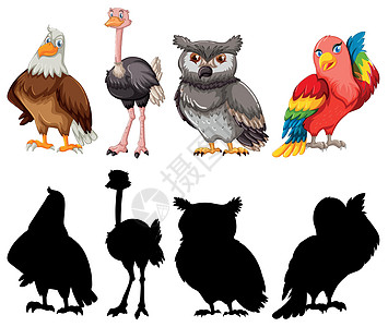 轮廓颜色和轮廓版本黑色白色动物面具团体猫头鹰艺术插图卡通片小路图片