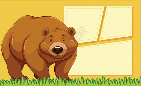Brown 灰熊模板背景背景图片