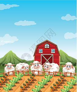 农田里的羊图片