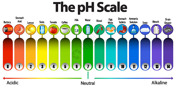 白色背景上的 pH 刻度碱性科学插图卡通片意义绘画艺术图表学习基地图片