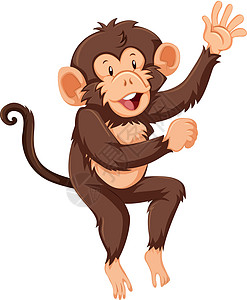 白色背景上的猴子角色绘画夹子动物野生动物哺乳动物尾巴艺术微笑乐趣卡通片图片