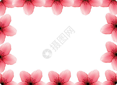 樱花相框图片