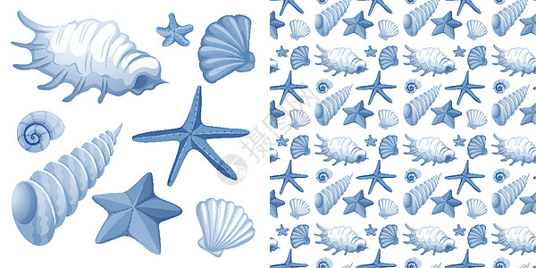 无缝背景设计与贝壳团体白色绘画插图海滩蓝色空白生物动物群包装图片