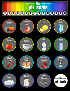 带数字和不同样品的 pH 刻度图片