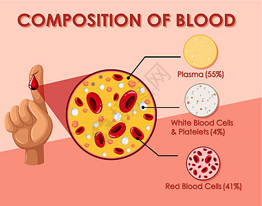 显示血细胞组成的图表图片