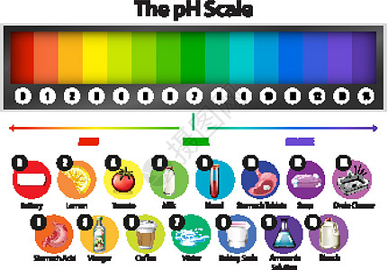 白色背景上的 pH 刻度基地图表绘画科学碱性艺术教育意义卡通片中性图片