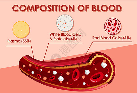 显示血液成分的图表女孩作品医疗药品学习卡通片男性意义红血艺术图片
