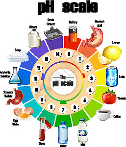 科学饮食白色背景上的 pH 刻度学习科学教育碱性艺术意义中性基地卡通片绘画插画