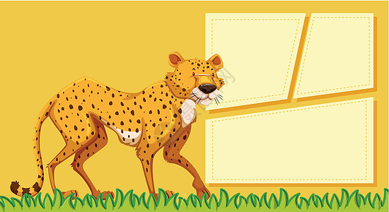 空白的猎豹不是标签白色办公室卡片艺术商业记事本框架绘画动物图片