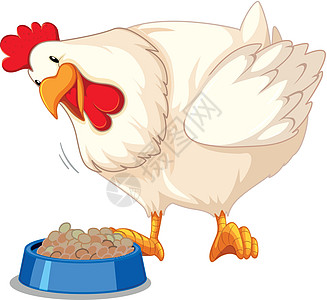 一只鸡吃 foo艺术农业卡通片插图动物家禽白色微笑农场公鸡图片