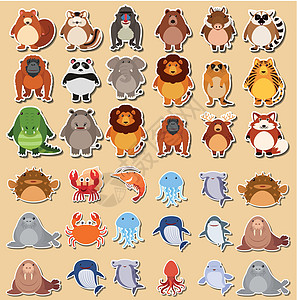 一套可爱的动物贴纸野生动物鲨鱼狮子松鼠熊猫情调老虎绘画卡通片鳄鱼图片