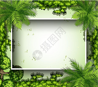 带绿色植物的边框模板图片