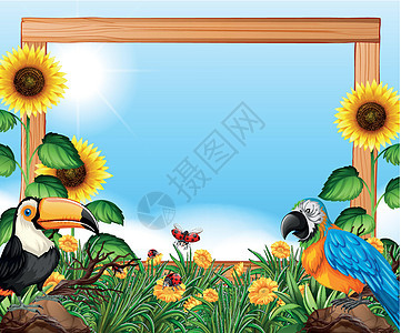 自然木框架上的鸟鹦鹉木头插图太阳剪贴木板艺术绘画夹子边界图片