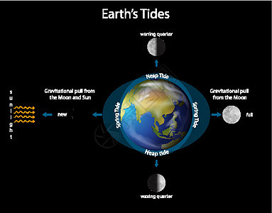 用地球和哞哞显示地球潮汐的图表绘画世界天文学天文宇宙学重力行星天文学家星星星系图片