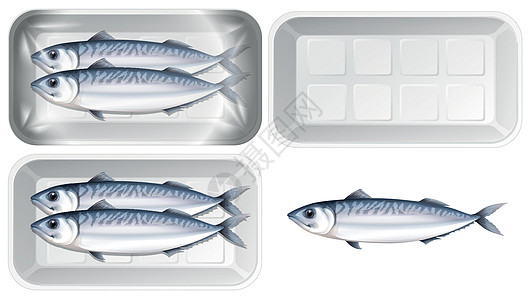 包装中的鲭鱼集夹子绘画海洋艺术卡通片海鲜食物鲭鱼动物图片