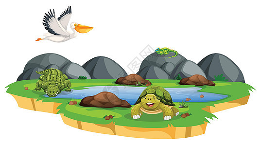 自然界中的动物池塘插图夹子艺术绘画绿色丛林食肉森林荒野图片