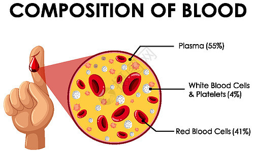 显示血液成分的图表白血科学剪贴医疗细胞艺术插图生物药品海报背景图片