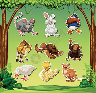 一套动物贴纸包艺术绿色孩子森林乐趣墙纸小吃衬套绘画卡通片图片