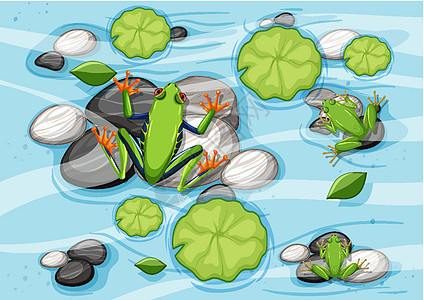 青蛙和荷叶在 pon 的空中场景风景卡通片野生动物植物丛林液体池塘插图溪流动物群图片